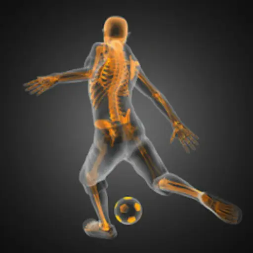 骨骼在年轻的足球运动员中尤为突出
