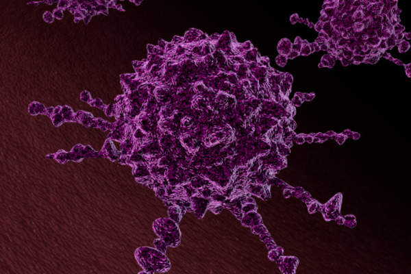 癌细胞图像