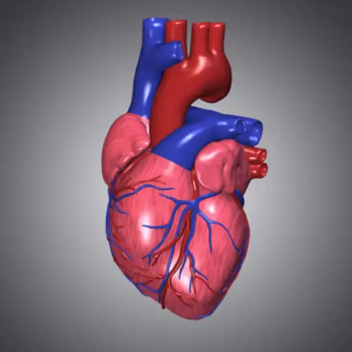 heart image