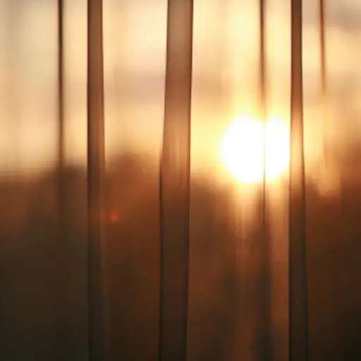 Curtain drawn with sun still up