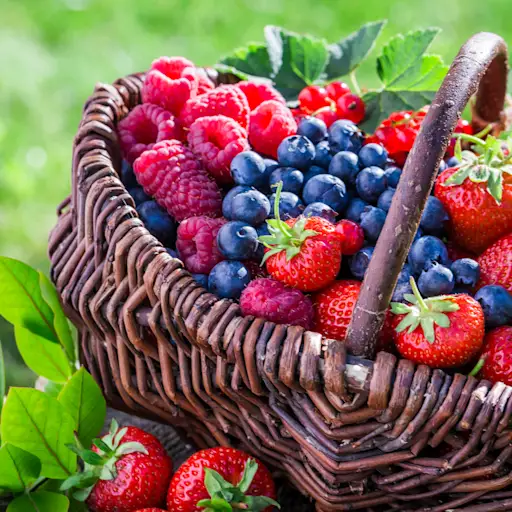 Basket of berries.
