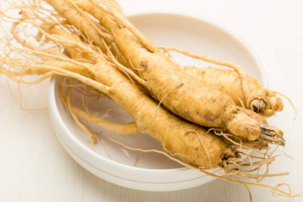人参根