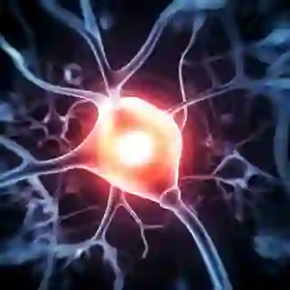 Active nerve cell illustration.