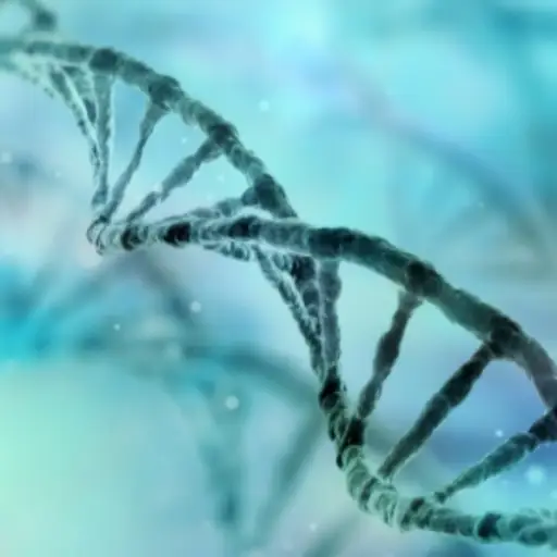 DNA可视化双螺旋