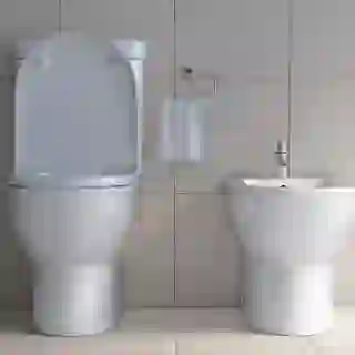 toilet and bidet