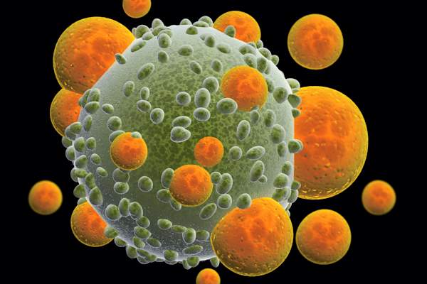 immunotherapy