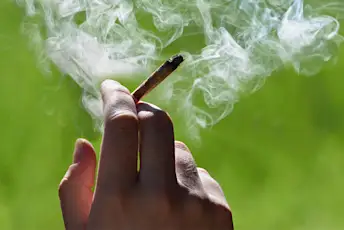 大麻,大麻烟,大麻。