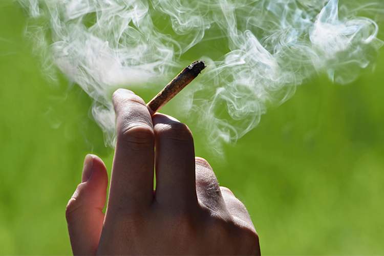 大麻,大麻烟,关节。