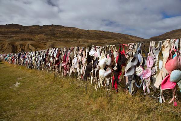 胸罩排列在栅栏上