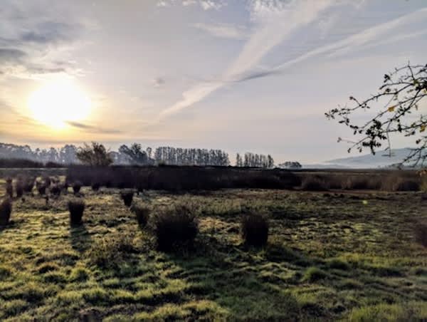 在婴儿阶段跑到返回关节炎5k-picture1