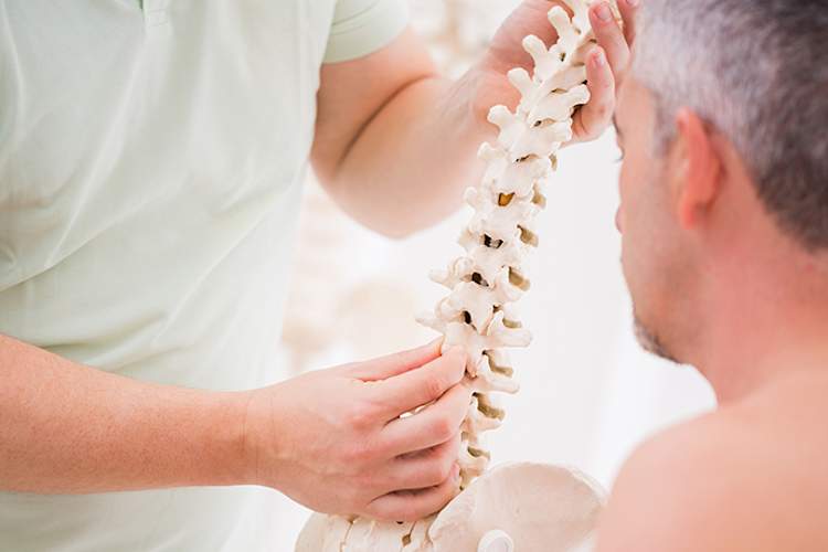 整骨医生表示病人脊柱的模型。