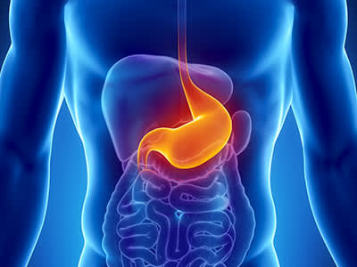 突出的胃在男性消化系统。