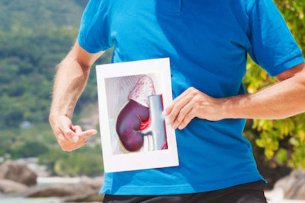 一个男人拿着肾的图片在身体的实际肾位置前。