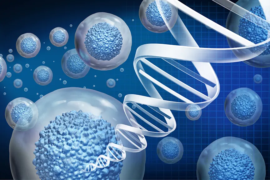 Regenerative Medicine Is Changing the Way We Age Regenerative Medicine Is Changing the Way We Age