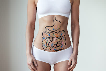 消化道绘制在女性腹部。