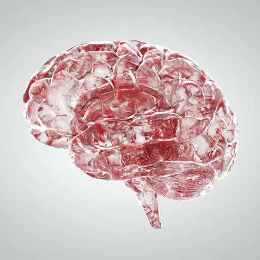 脑血管