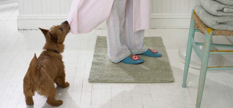 走在光秃秃的地板上