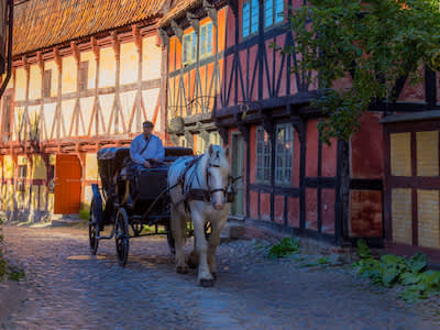 历史悠久的城镇，马和马车。