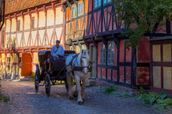 历史悠久的城镇,马和马车。