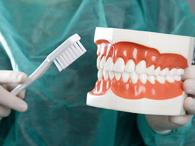 牙医拿着一套塑料牙。
