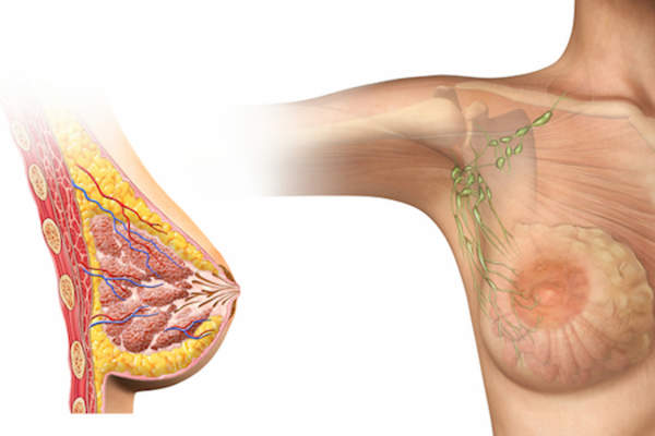 画报与切乳房了。