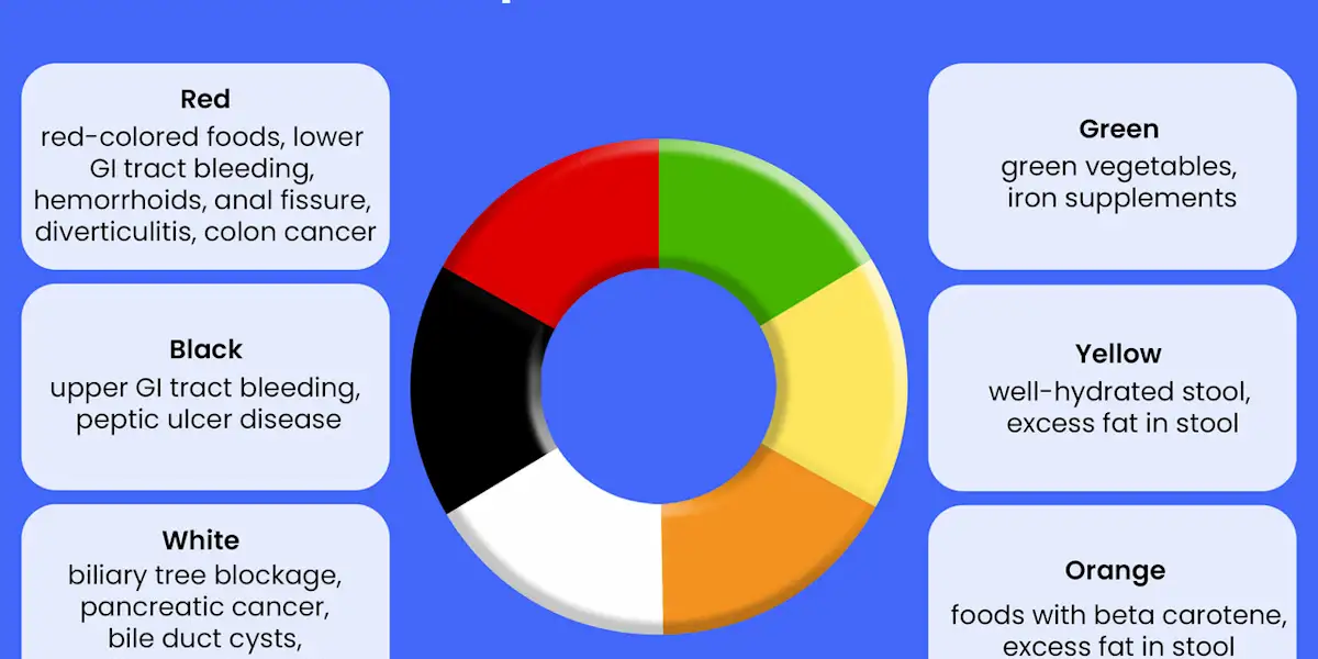 Poop Color Meaning: What Your Stool Color Can Tell You About Your Health