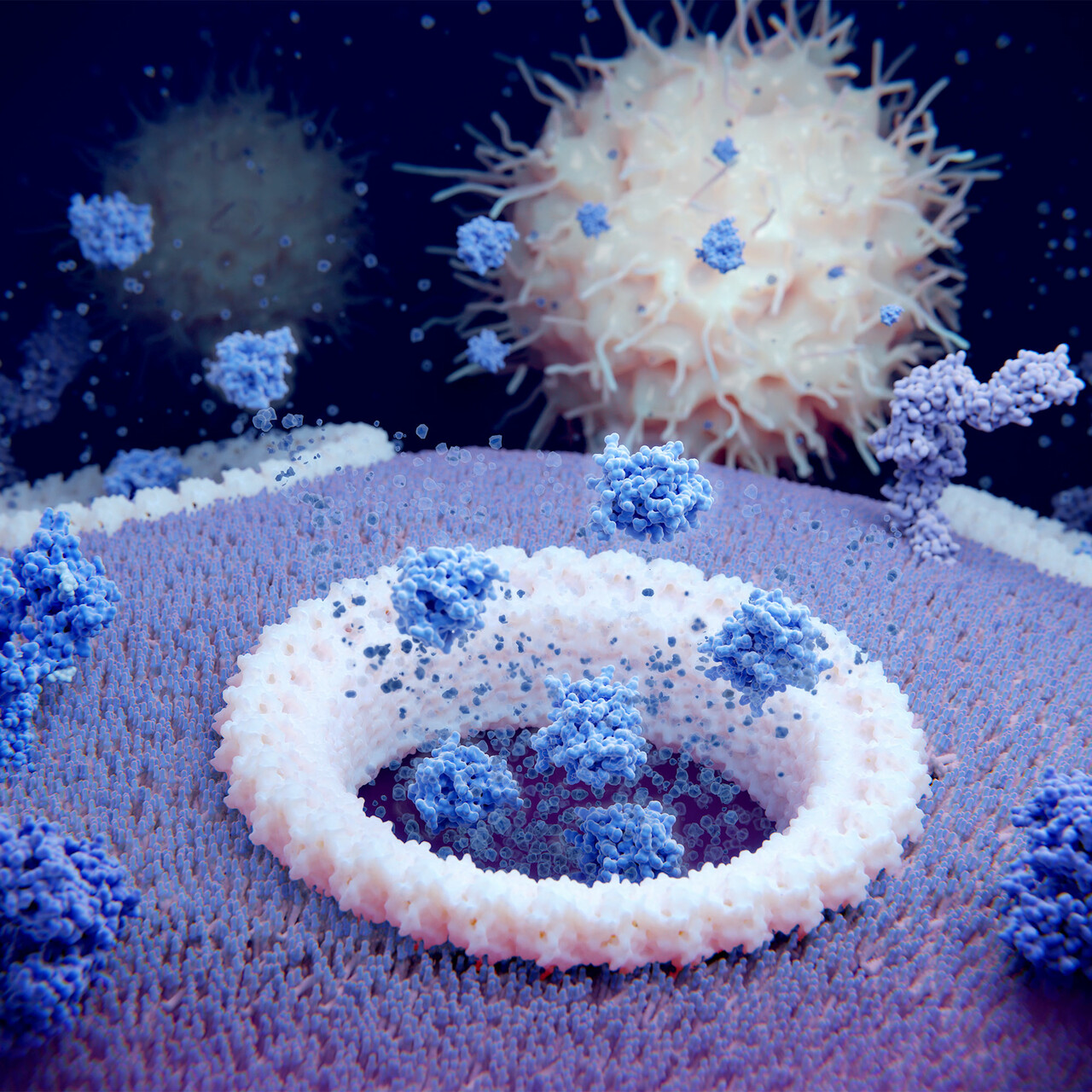 细胞因子的3D图