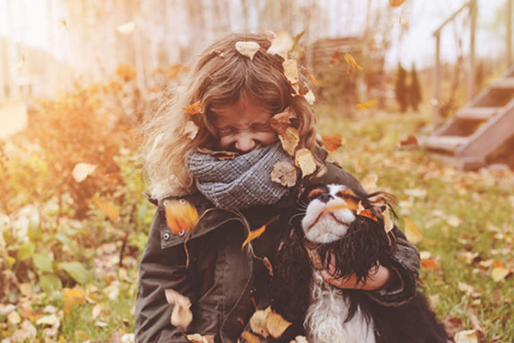 女孩玩叶秋和她的狗,脸上蒙着头巾。