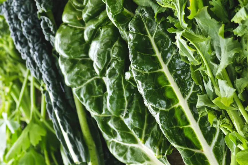8 Vegetables That Fight Heart Disease