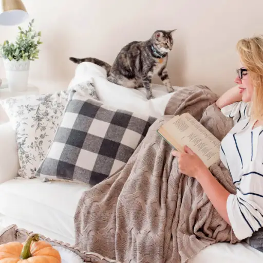 女人盖着毯子和猫在沙发上看书