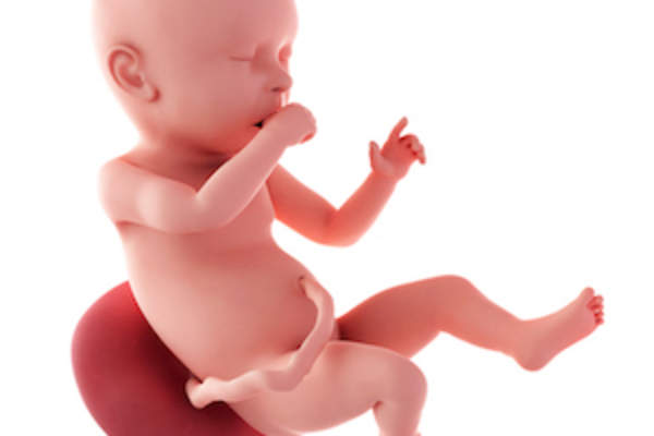 胎儿在子宫内发育完全