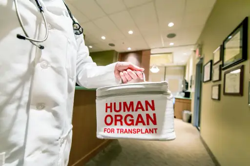 human organ for transplant