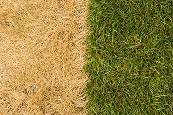 这山望着那山高。