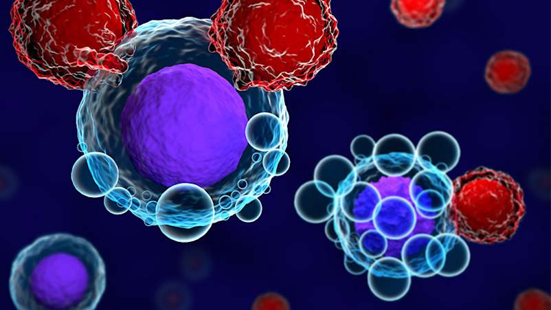 CAR T细胞疗法。