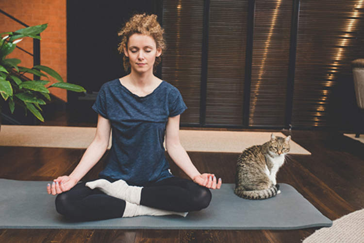 在家里和猫一起冥想的女人。