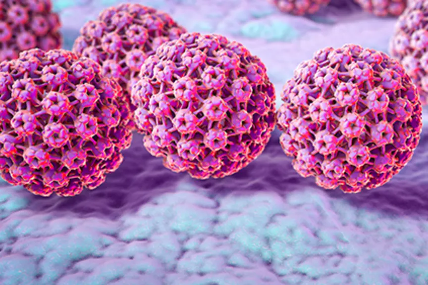 Human papillomavirus.