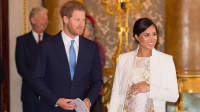 梅根，苏塞克斯公爵夫人和哈里王子，苏塞克斯公爵出席招待会，庆祝威尔士在白金汉宫王子的授五十周年的2019年3月5日在英国伦敦。
