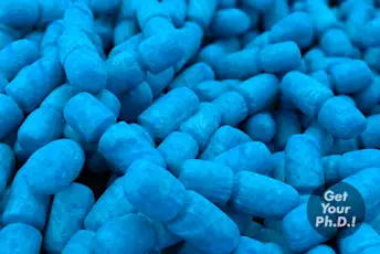 有贴纸的肠道细菌