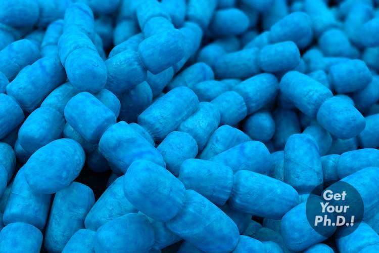 带贴纸的肠道细菌