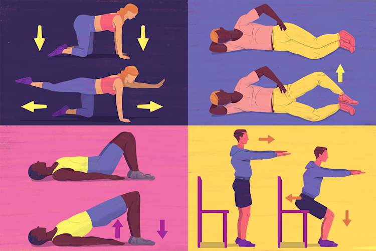 4毫秒练习插图-鸟狗、蛤壳、臀大肌桥和坐立