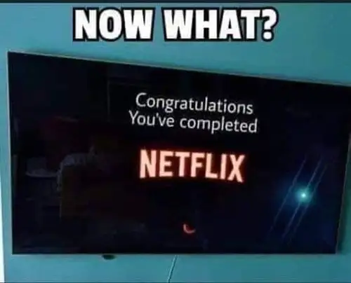 Meme的节目在Netflix狂欢