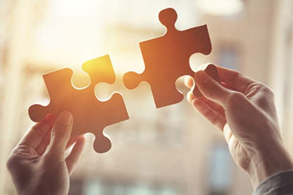 比较两个不同的拼图。