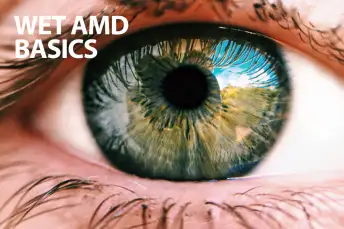 湿AMD基础知识