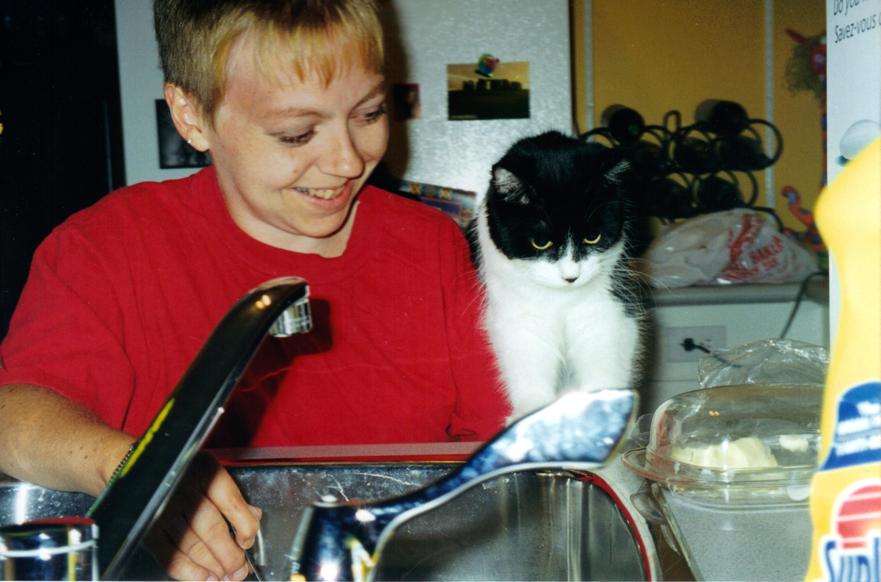 琳恩安徒生和魔力