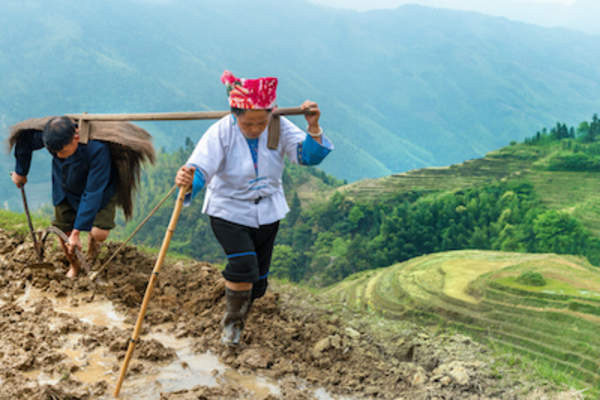 胃癌的约72%发生在欠发达国家。