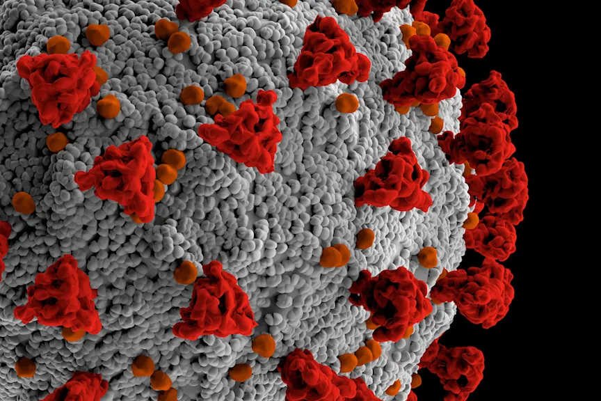 Covid-19模型特写