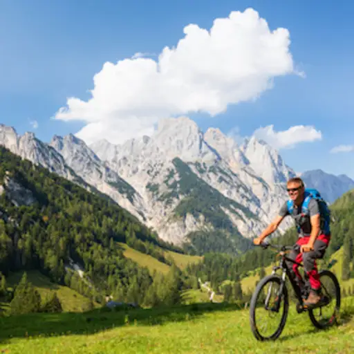 旅行和锻炼，在阿尔卑斯山骑山地自行车。
