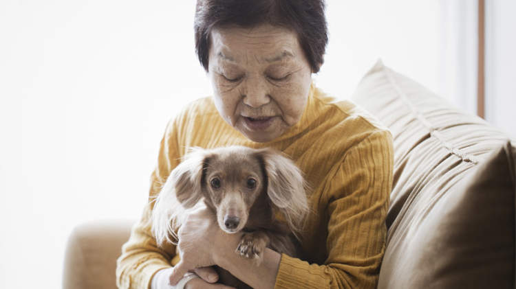 一位老年妇女抱着她的小狗坐在家里客厅的椅子上。