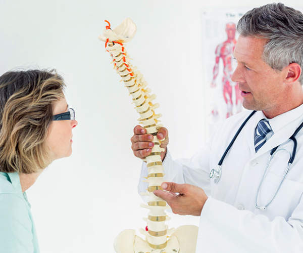 博士表示女人人体脊椎模型