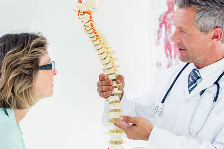 博士表示女人人体脊椎模型